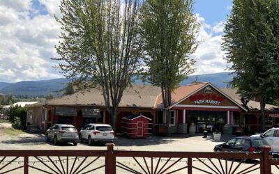 Peach Perfect: A Journey Through Don-O-Ray Farms in Kelowna, BC