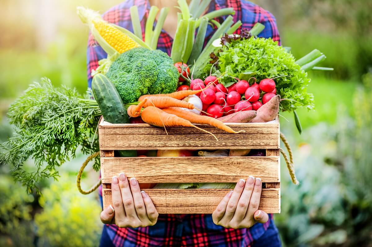 Farm Fresh Produce Grown in Kelowna