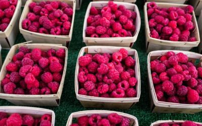 The Berry Best: Creative Ways to Use Fresh Raspberries