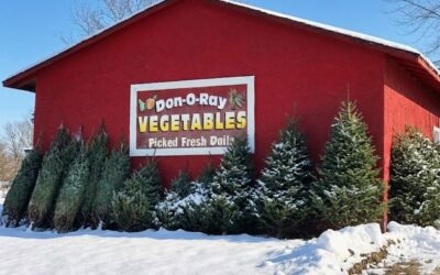 Fresh Local Christmas Trees Are Here at Don-O-Ray Farmers Market!