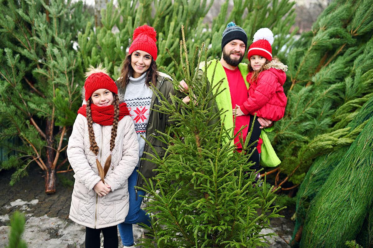 family preparing for Christmas