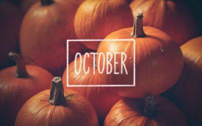 Welcome to October’s harvest!