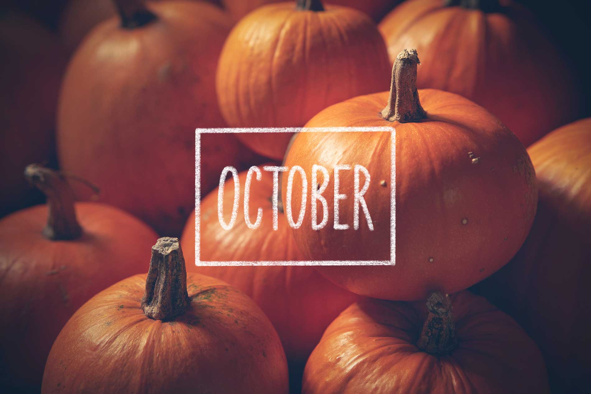 featuredimage-Welcome-to-October’s-harvest