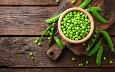 Fresh Picked Peas From Our Farm to Your Table