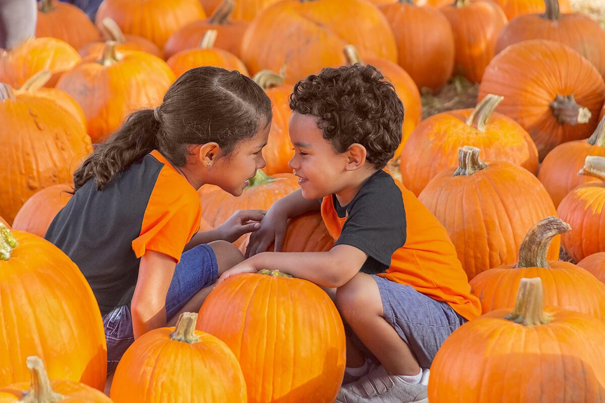 kids with the pumpkins