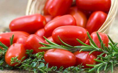 September is the Month for Tomatoes